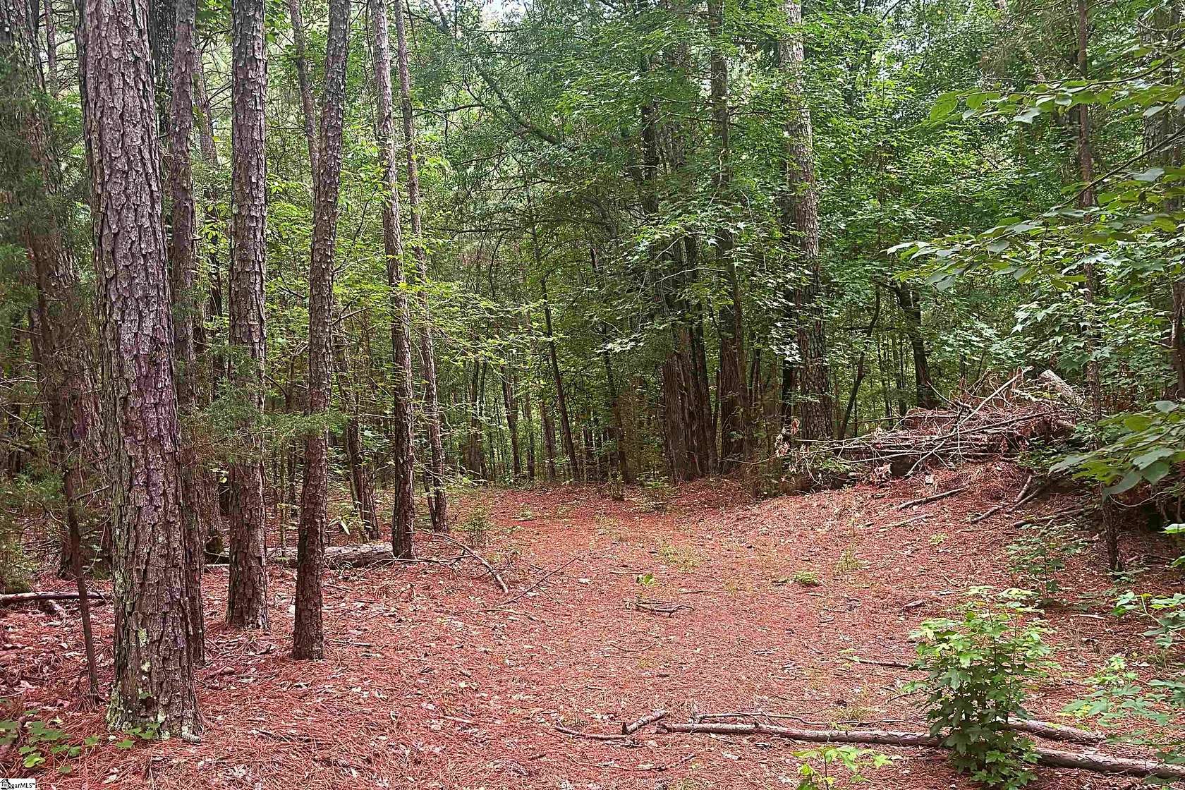 5.26 Acres of Residential Land for Sale in Cross Hill, South Carolina