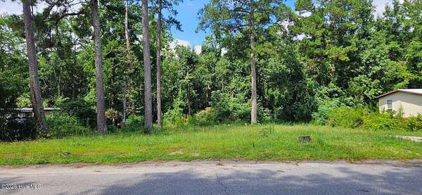 0.25 Acres of Residential Land for Sale in Augusta, Georgia