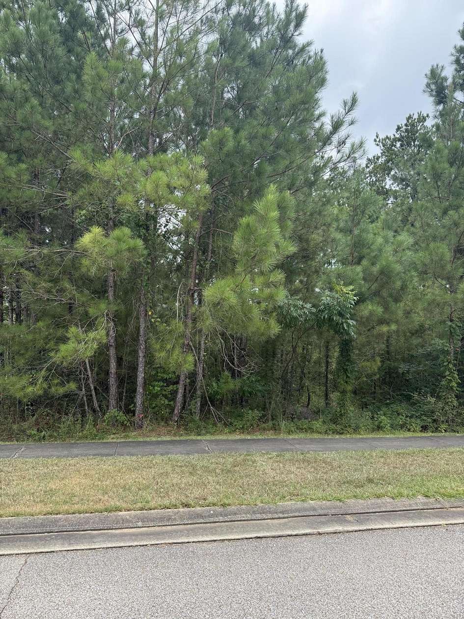 0.3 Acres of Residential Land for Sale in Hattiesburg, Mississippi