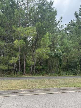 0.3 Acres of Residential Land for Sale in Hattiesburg, Mississippi