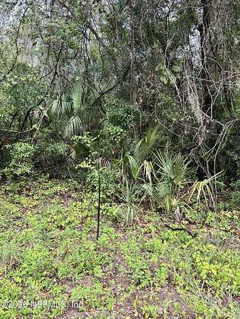 0.3 Acres of Residential Land for Sale in Interlachen, Florida