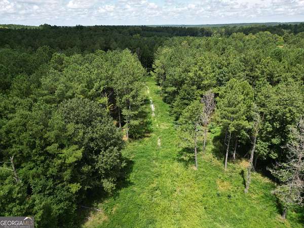 111 Acres of Recreational Land for Sale in Carlton, Georgia