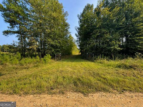 137 Acres of Recreational Land for Sale in Carlton, Georgia