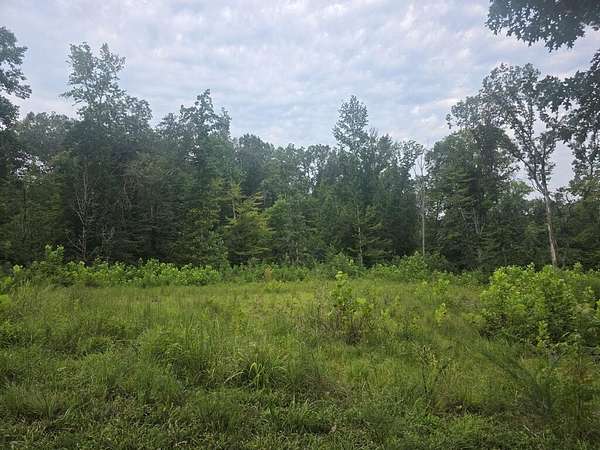 2.3 Acres of Residential Land for Sale in Buchanan, Tennessee