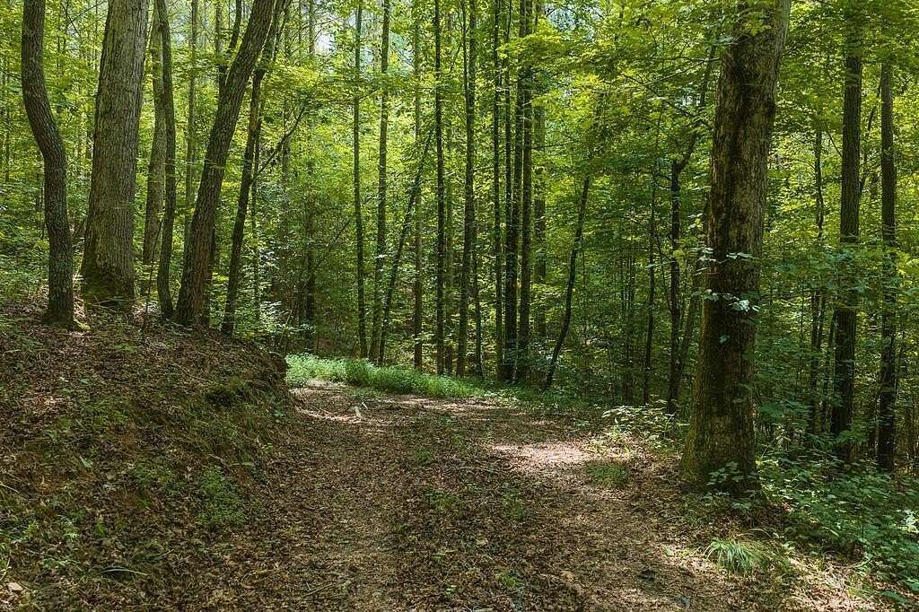 2.89 Acres of Residential Land for Sale in Ellijay, Georgia