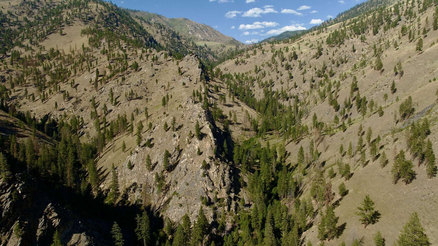 82.2 Acres of Recreational Land for Sale in Salmon, Idaho