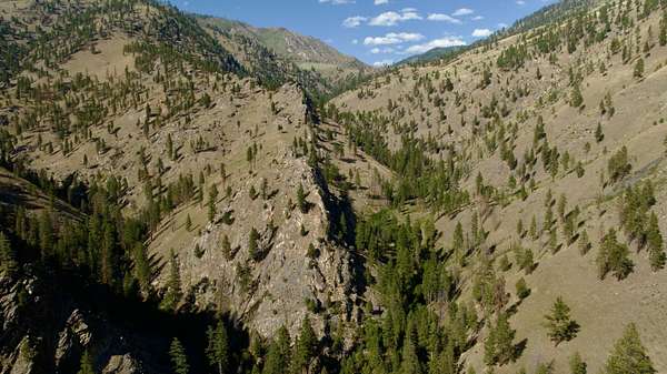 82.2 Acres of Recreational Land for Sale in Salmon, Idaho