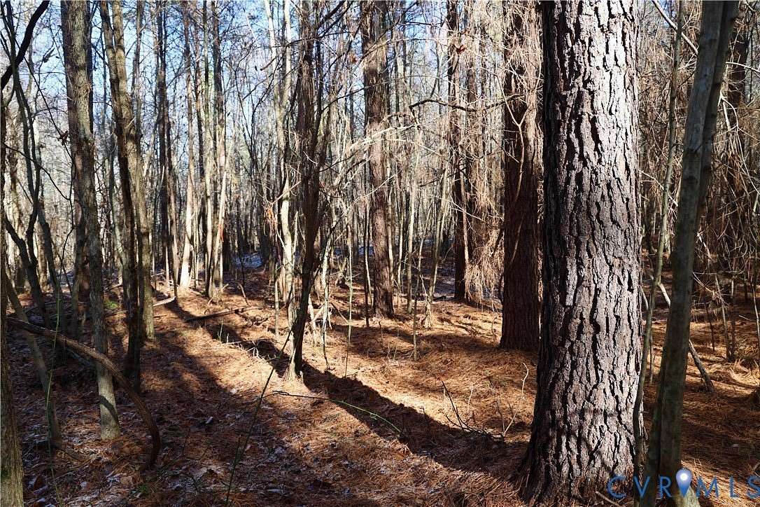 18.3 Acres of Recreational & Residential Land for Sale in Buffalo Junction, Virginia