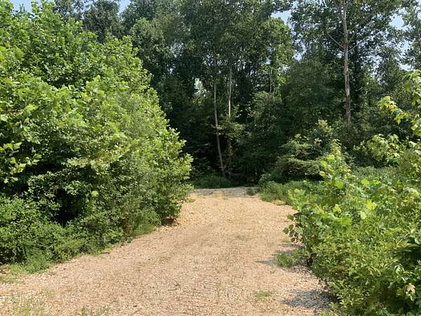 48.3 Acres of Recreational & Residential Land for Sale in Springville, Tennessee