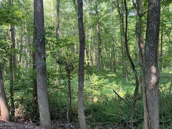 48.3 Acres of Recreational Land for Sale in Springville, Tennessee