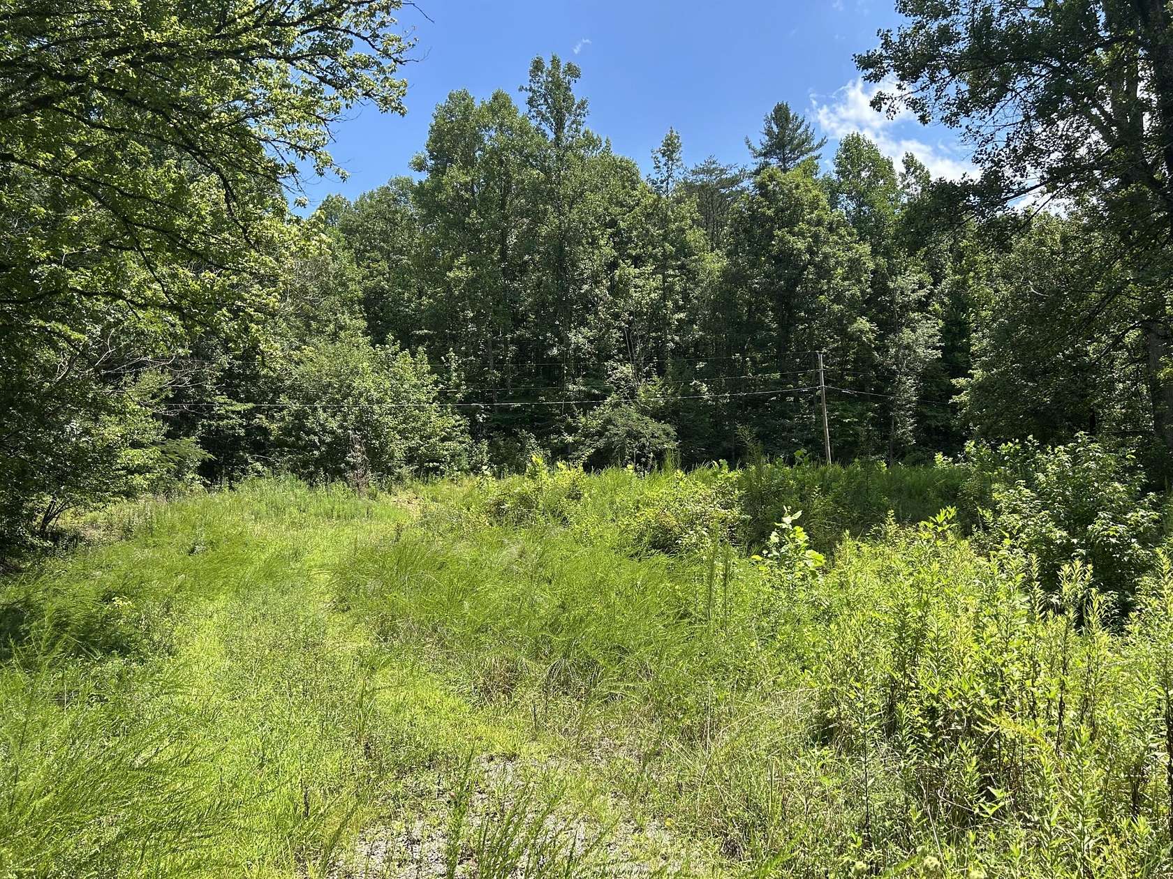 3.7 Acres of Residential Land for Sale in Reliance, Tennessee