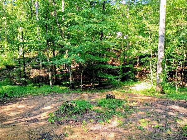 1 Acre of Land for Sale in Chatsworth, Georgia