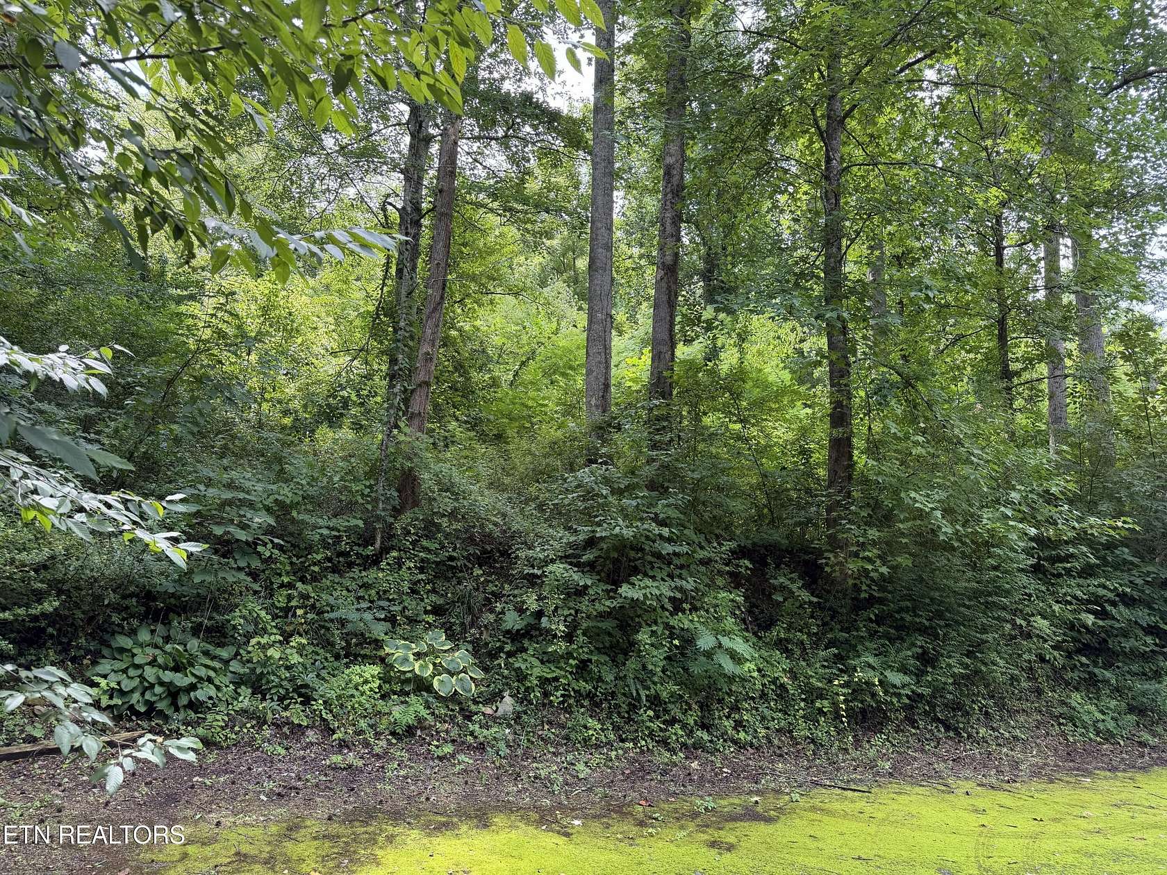 0.23 Acres of Residential Land for Sale in Gatlinburg, Tennessee