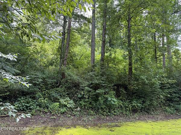 0.23 Acres of Residential Land for Sale in Gatlinburg, Tennessee