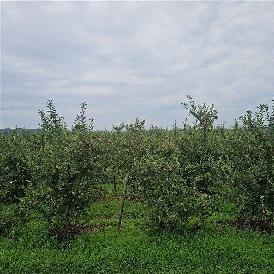 1 Acre of Residential Land for Sale in Albion, New York