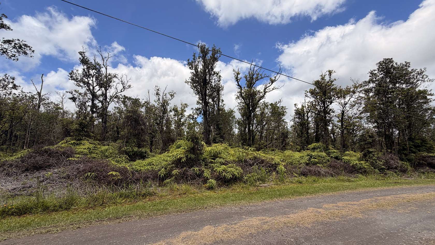 3 Acres of Residential Land for Sale in Volcano, Hawaii