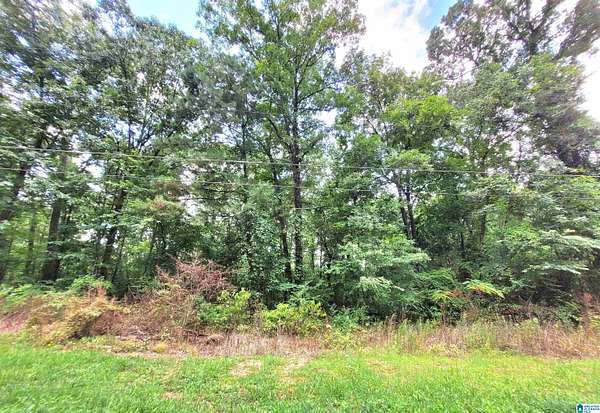 1.12 Acres of Residential Land for Sale in Talladega, Alabama