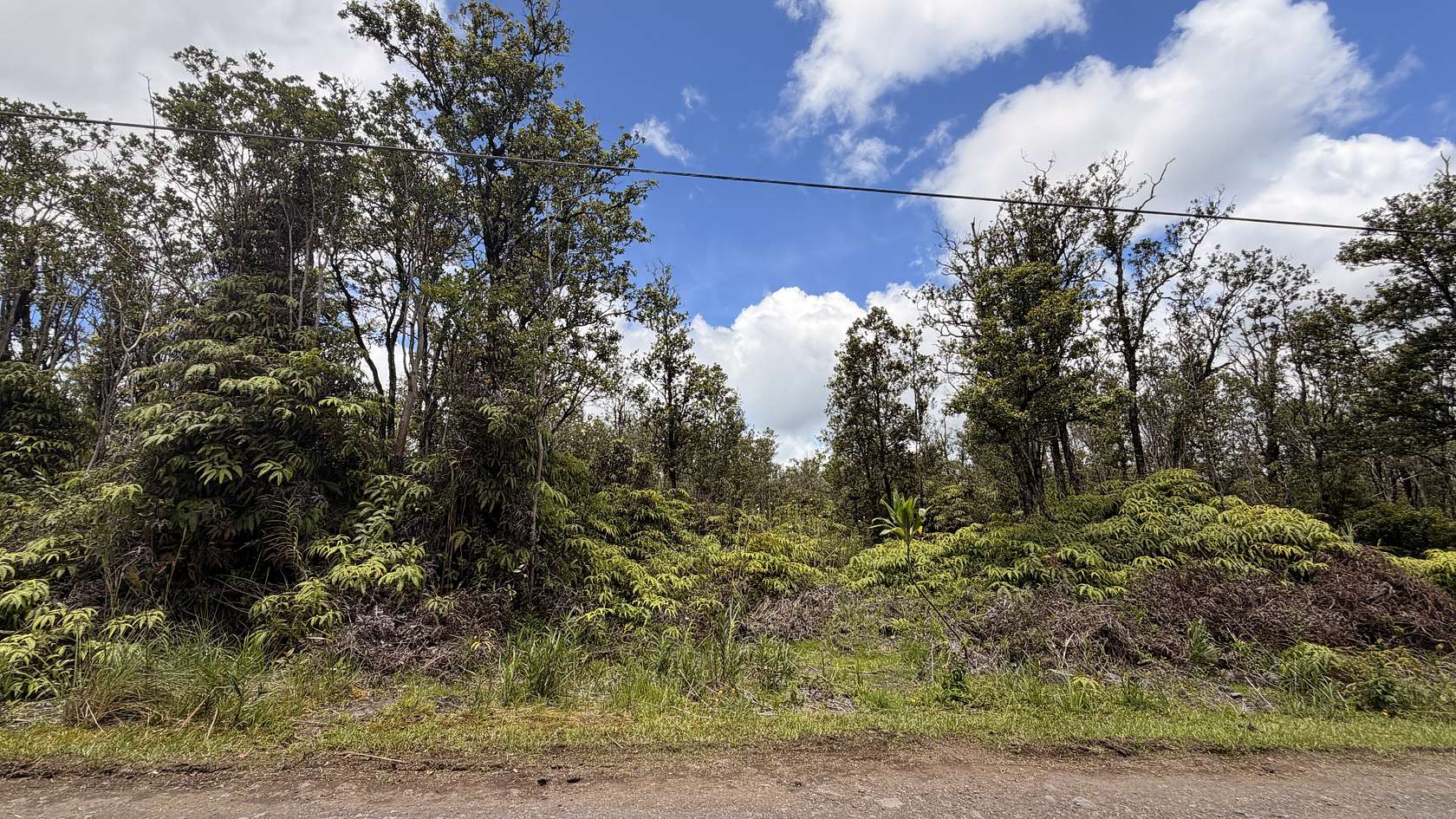 3 Acres of Residential Land for Sale in Volcano, Hawaii