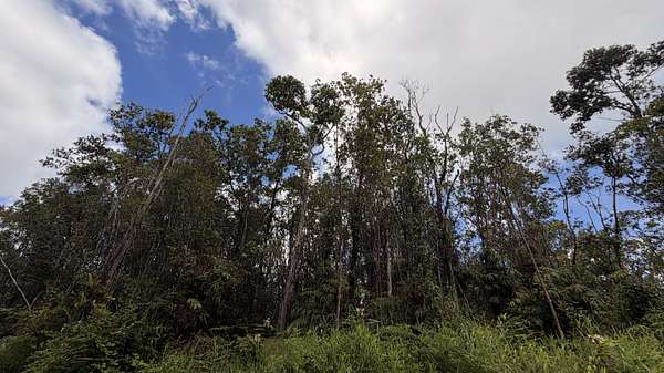 3 Acres of Residential Land for Sale in Volcano, Hawaii
