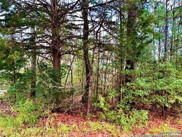 1.16 Acres of Residential Land for Sale in Woodville, Texas