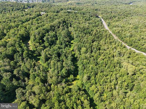 9.57 Acres of Residential Land for Sale in Davis, West Virginia