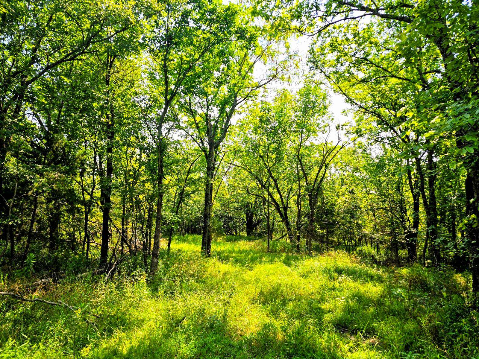 20 Acres of Recreational Land for Sale in Talihina, Oklahoma