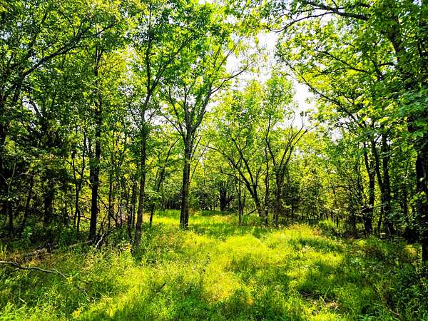 20 Acres of Recreational Land for Sale in Talihina, Oklahoma