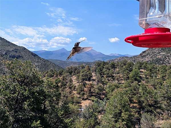 35.5 Acres of Recreational Land with Home for Sale in Cotopaxi, Colorado