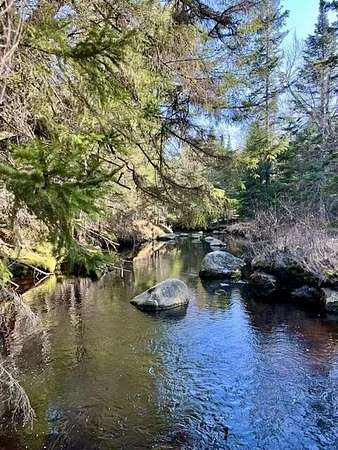 16 Acres of Recreational & Residential Land for Sale in Columbia, Maine