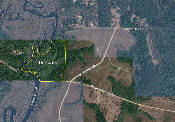19 Acres of Recreational Land for Sale in Vernon, Florida