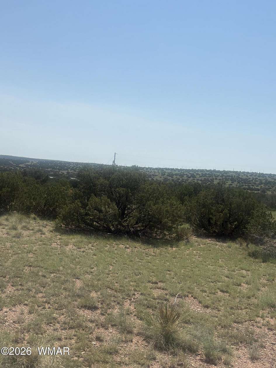 3.19 Acres of Residential Land for Sale in Concho, Arizona
