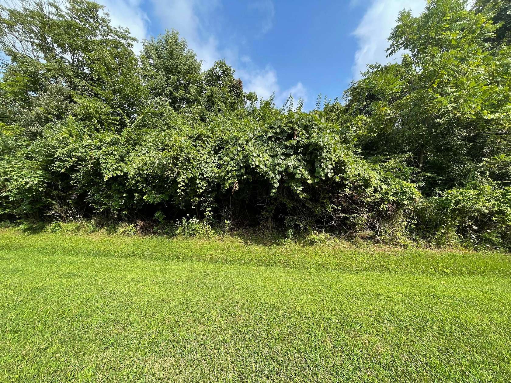1.14 Acres of Residential Land for Sale in Canal Winchester, Ohio