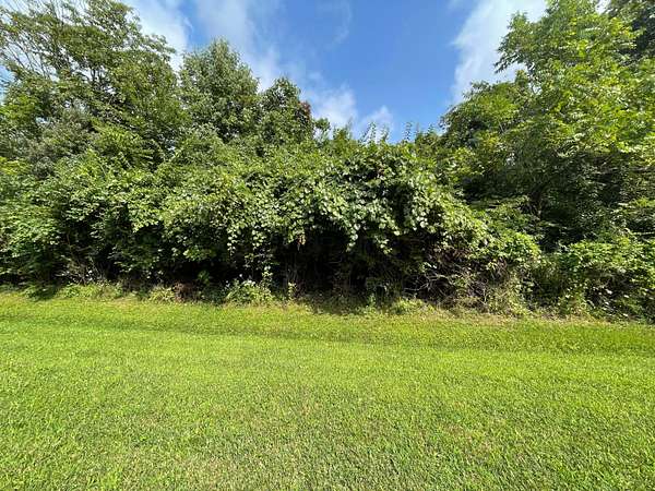 1.14 Acres of Residential Land for Sale in Canal Winchester, Ohio