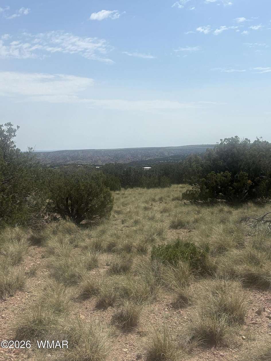 1.38 Acres of Residential Land for Sale in Concho, Arizona