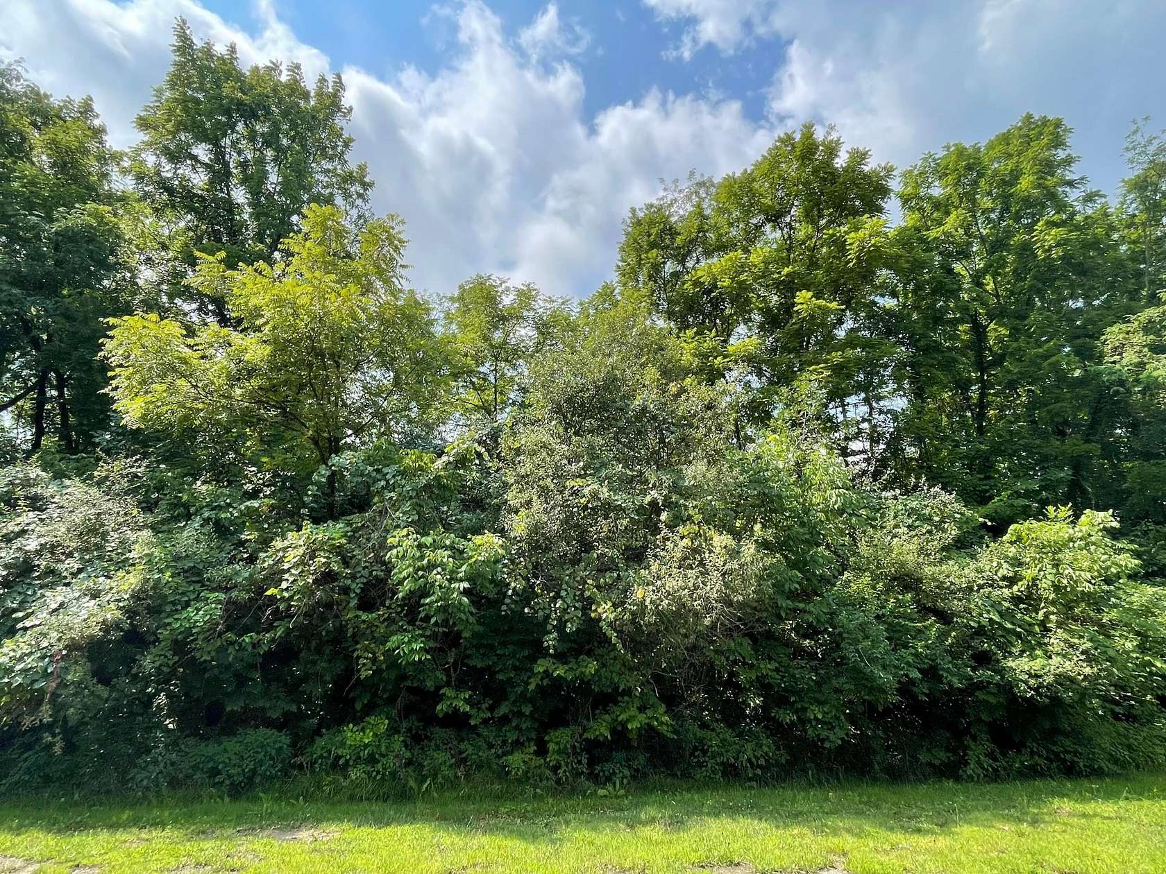 1.6 Acres of Residential Land for Sale in Canal Winchester, Ohio