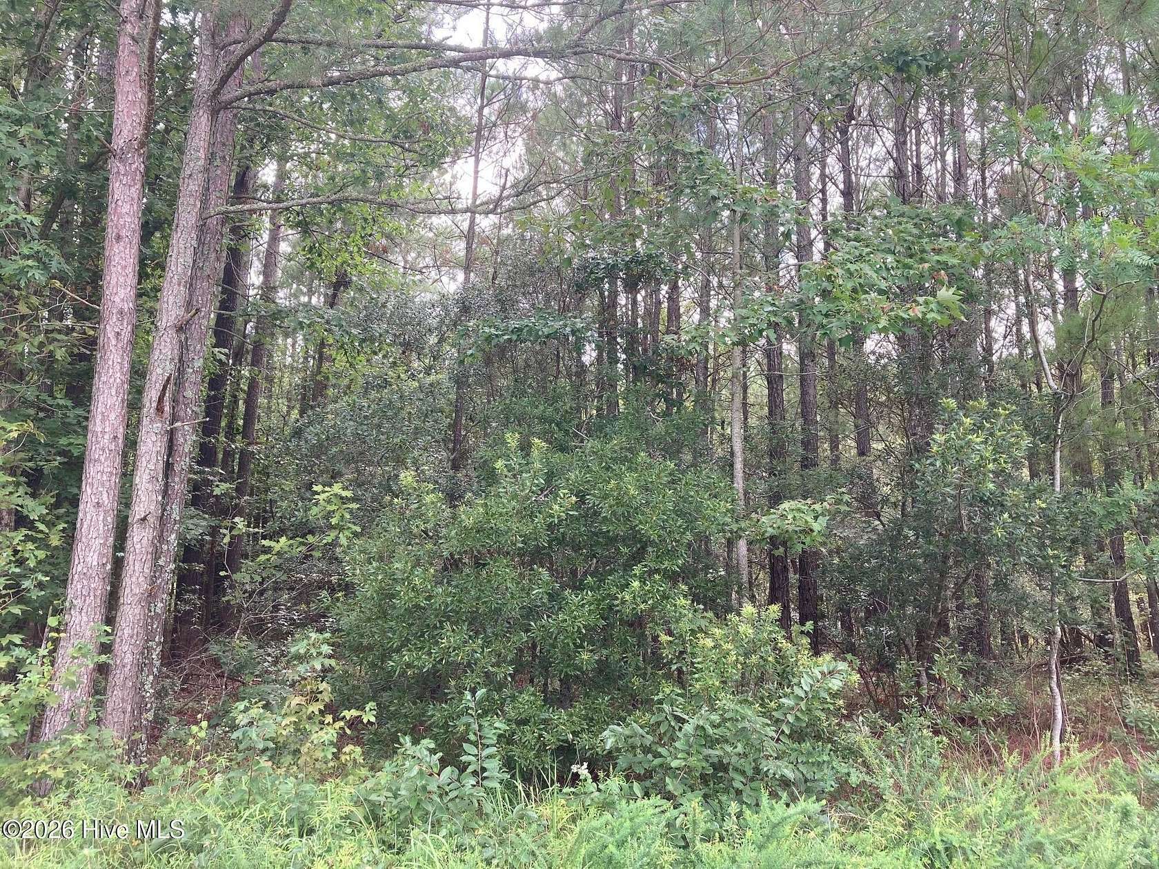 1.1 Acres of Residential Land for Sale in Bath, North Carolina