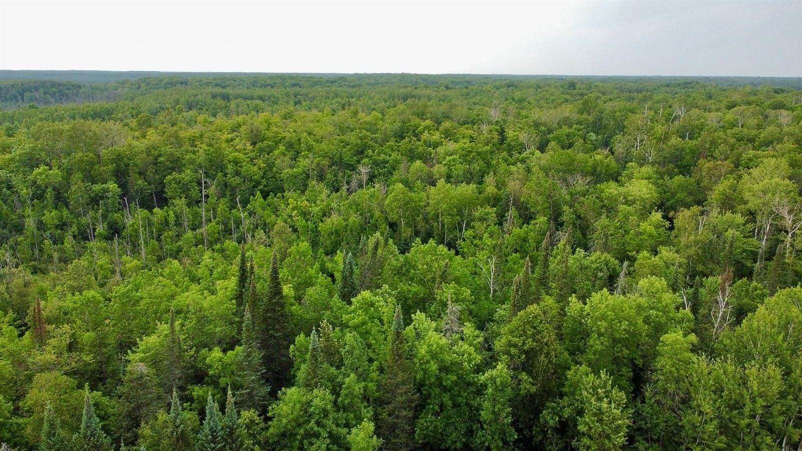 15.7 Acres of Recreational Land for Sale in McGregor, Minnesota