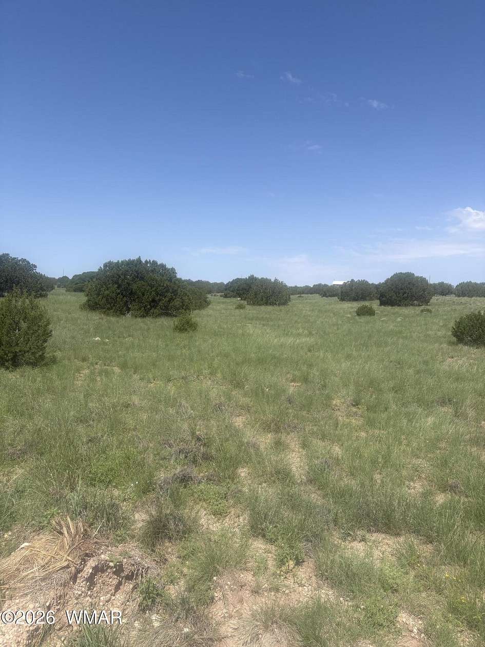1 Acre of Residential Land for Sale in Concho, Arizona