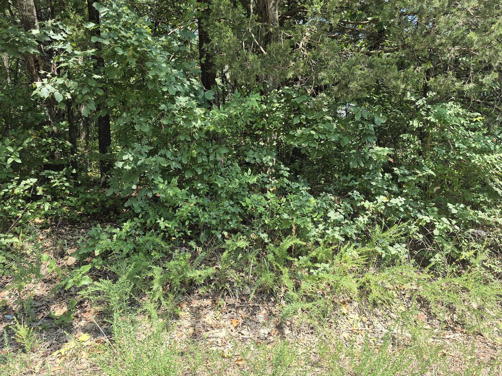 0.18 Acres of Residential Land for Sale in Merriam Woods, Missouri
