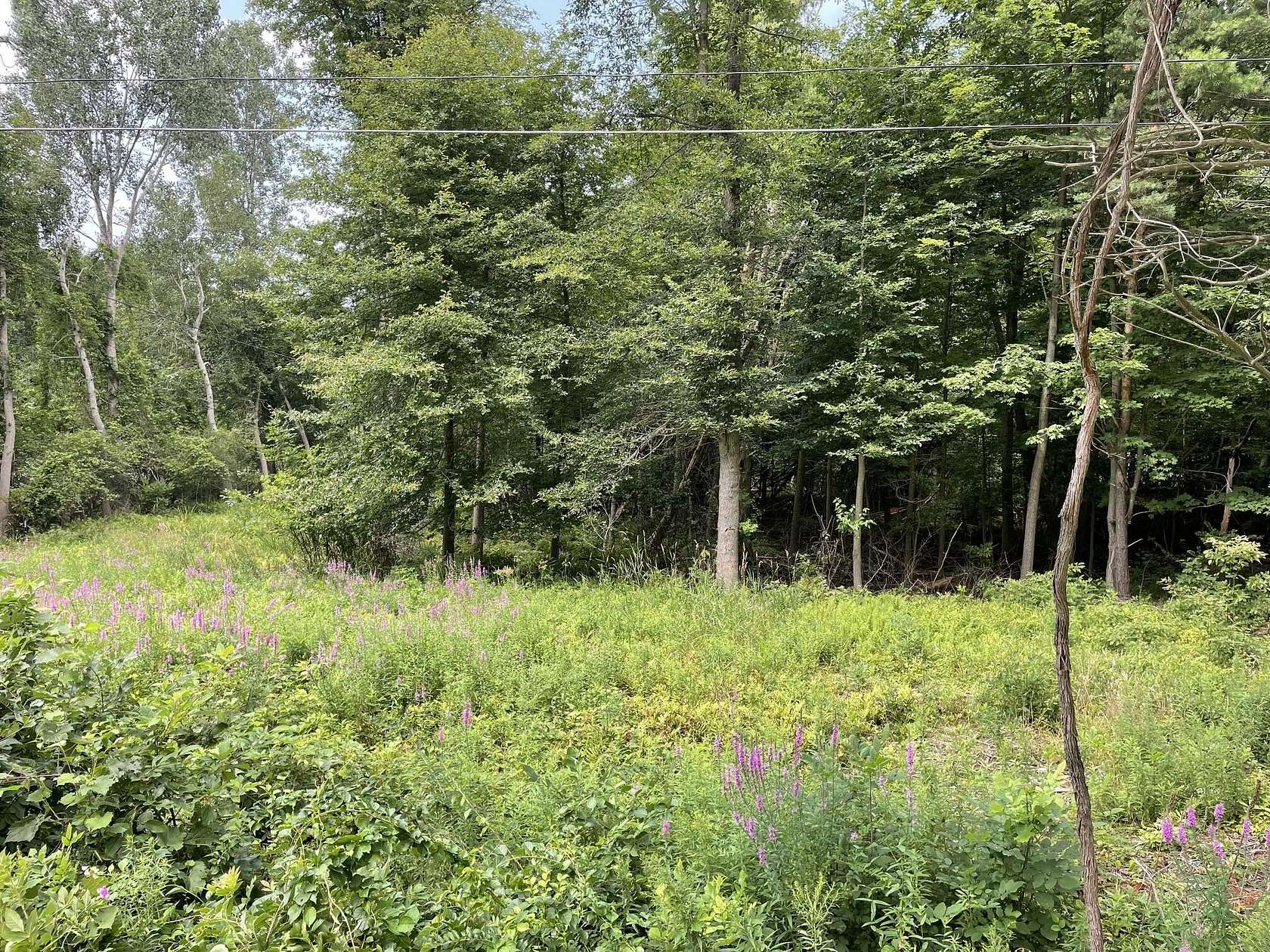 0.98 Acres of Residential Land for Sale in Holland, Michigan