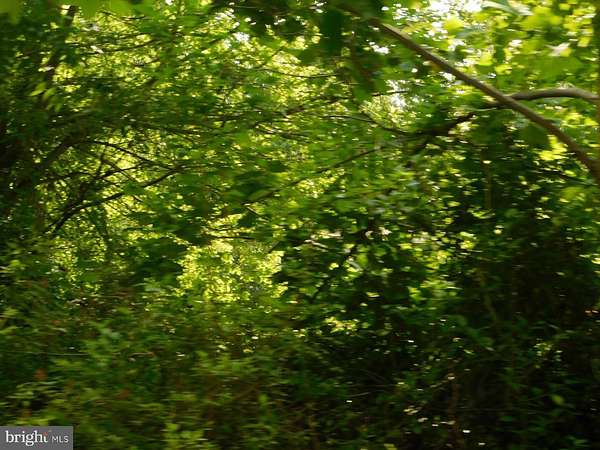 2 Acres of Residential Land for Sale in Earleville, Maryland