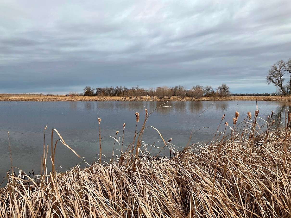 21 Acres of Recreational Land for Sale in Bassett, Nebraska