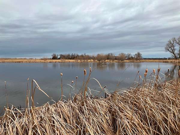 21 Acres of Recreational Land for Sale in Bassett, Nebraska