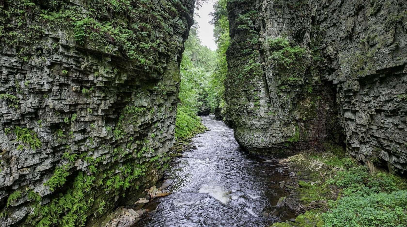 74 Acres of Land for Sale in Chateaugay, New York