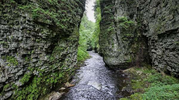 74 Acres of Land for Sale in Chateaugay, New York
