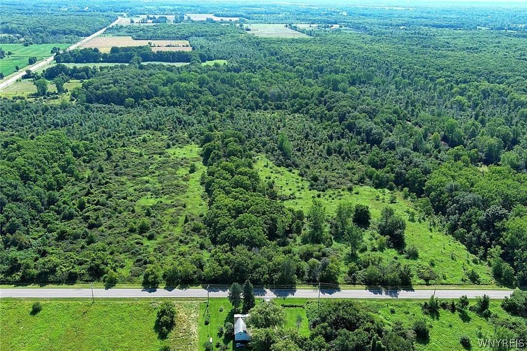 101 Acres of Recreational & Residential Land for Sale in Lockport, New York