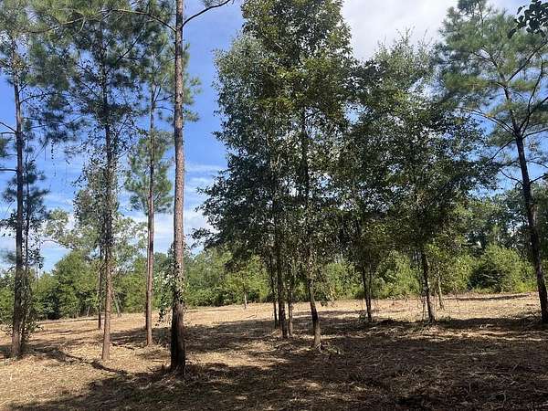 7.8 Acres of Residential Land for Sale in Thomasville, Georgia
