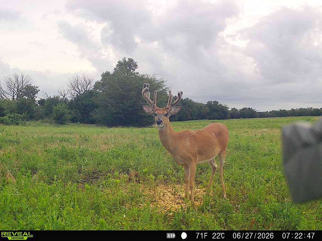 144 Acres of Land for Sale in Bronson, Kansas