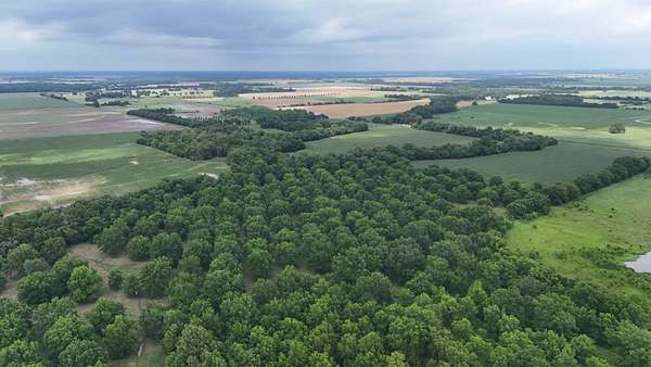 165 Acres of Agricultural Land for Auction in Columbus, Kansas