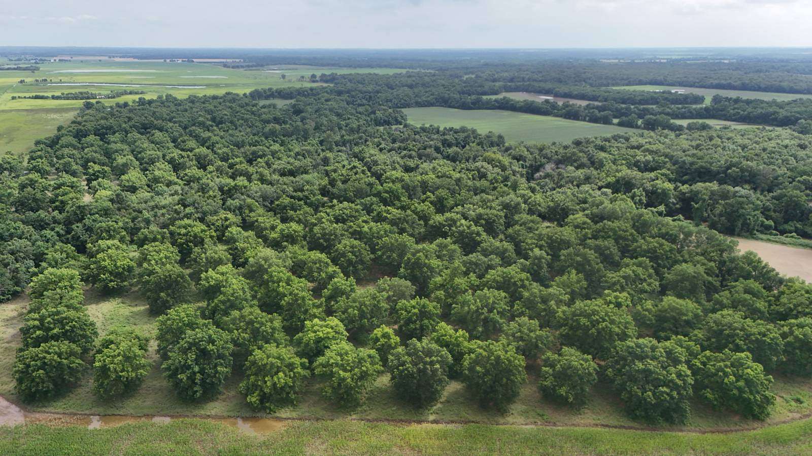155 Acres of Recreational Land for Auction in Columbus, Kansas